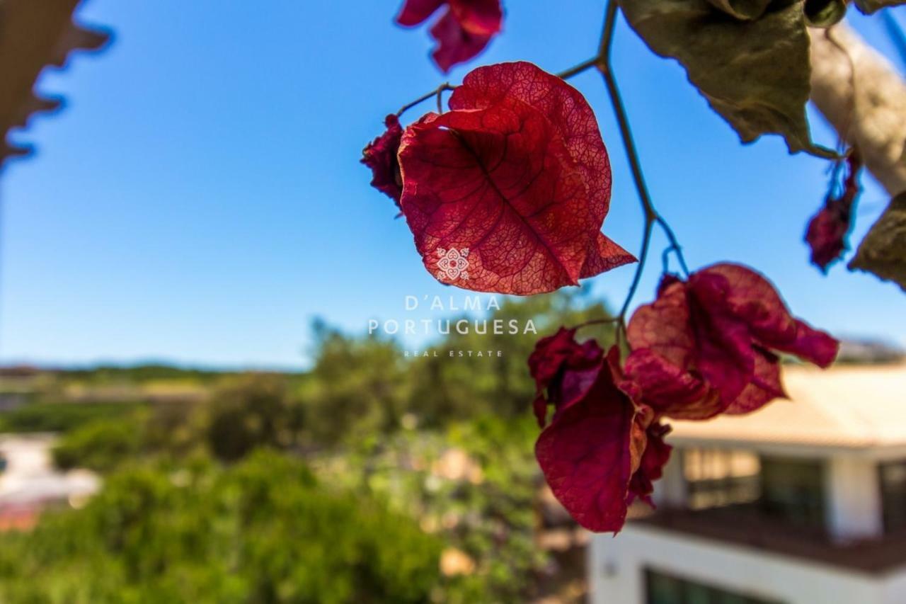 D'Alma Falesia Beach Apartment - By Dalma Portuguesa Albufeira Ngoại thất bức ảnh